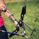 Image for article titled Evil Vet Kills Cat With Bow and Arrow